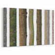 Tree Trunk Textures Wall Art | Nature Canvas Prints for Modern Decor