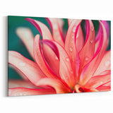 Leaf Wall Art: Botanical Close-Up Leaf Photography for Modern Decor