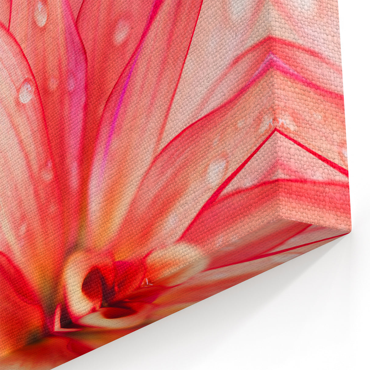 Leaf Wall Art: Botanical Close-Up Leaf Photography for Modern Decor