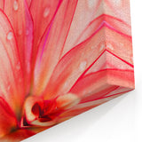 Leaf Wall Art: Botanical Close-Up Leaf Photography for Modern Decor