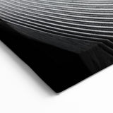 Modern Monochrome Leaf Wall Art: Black and White Leaf Photography