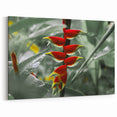 Martinique Canvas Prints - Exotic Caribbean Flower Art for Home Decor