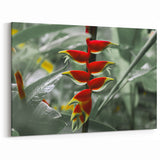 Martinique Canvas Prints - Exotic Caribbean Flower Art for Home Decor