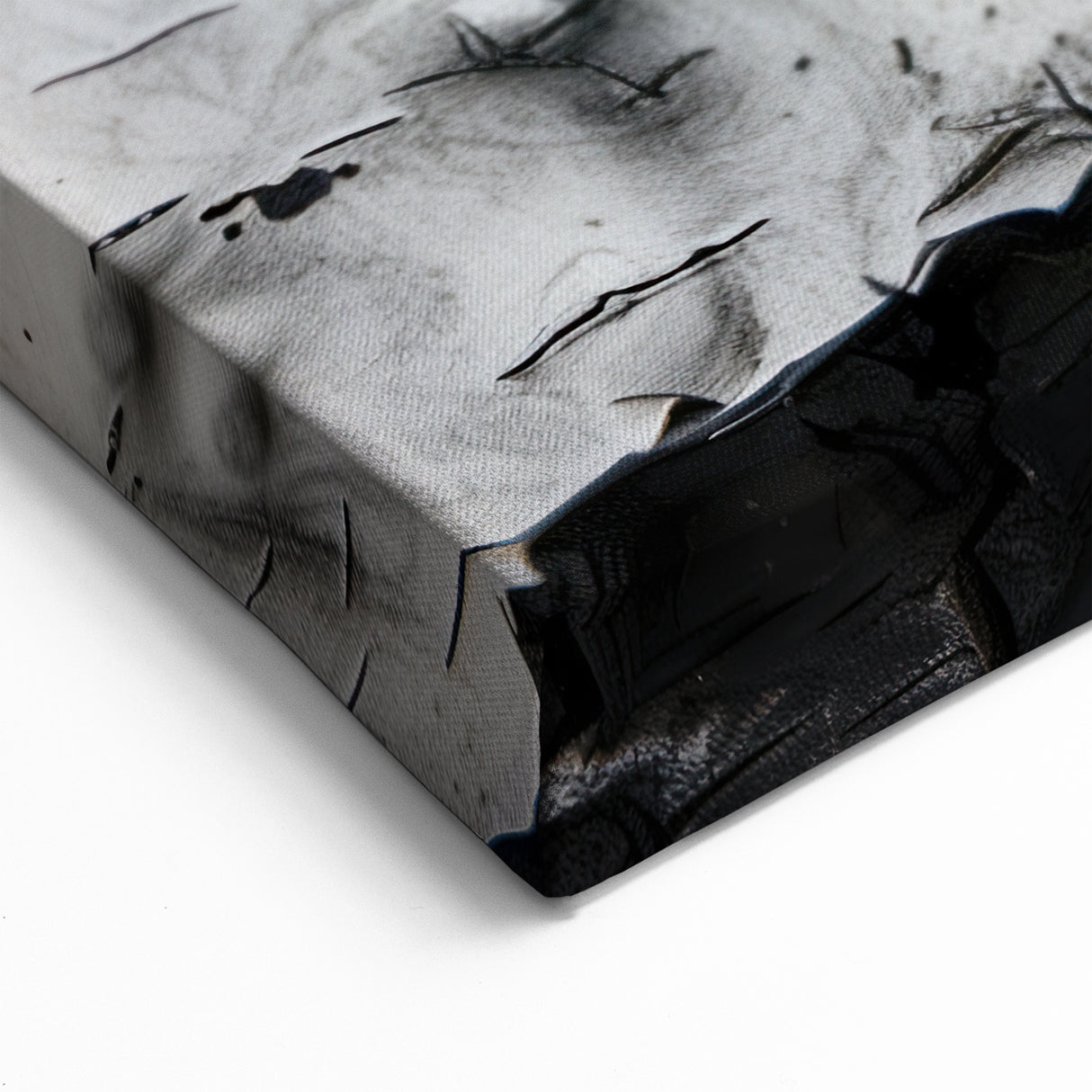 Birch Tree Bark: Modern Monochrome Tree Wall Art for Home Decor