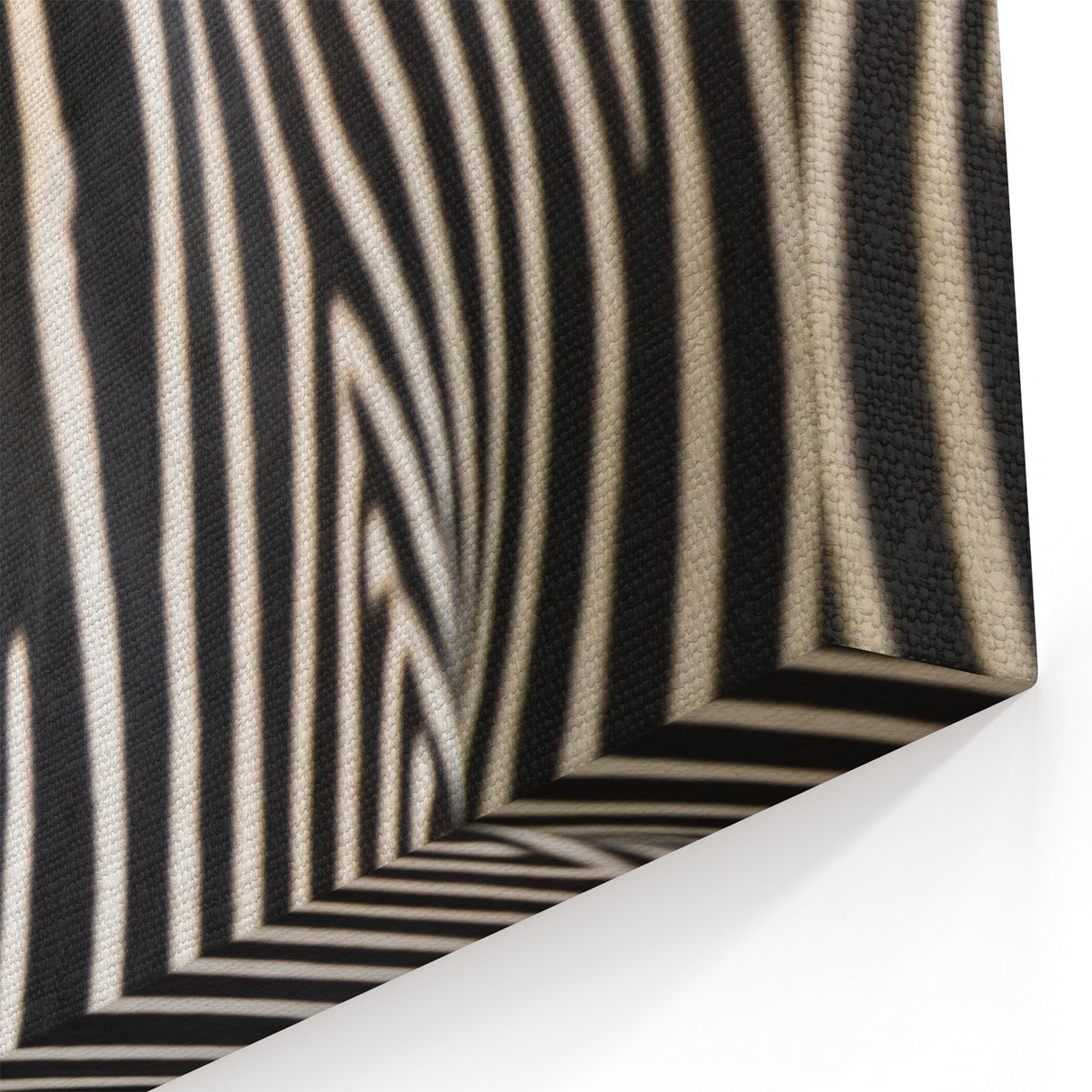 Animal Wall Art - Zebra Stripes Close-Up Wildlife Photography Canvas Print