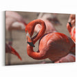 Tropical Yucatan Scenes - Vibrant Flamingo Mexico Yucatan Prints
