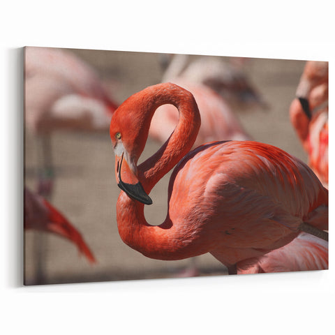 Tropical Yucatan Scenes - Vibrant Flamingo Mexico Yucatan Prints