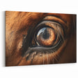 Animal Wall Art – Detailed Horse Eye Close-Up | Nature Canvas Prints