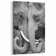 Elephant Wall Art – Black and White Wildlife Print | Nature Canvas Art