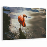 Tropical Yucatan Scenes - Flamingo Wildlife Photography Mexico Yucatan Prints