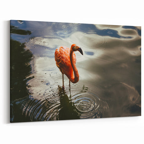 Tropical Yucatan Scenes - Flamingo Wildlife Photography Mexico Yucatan Prints