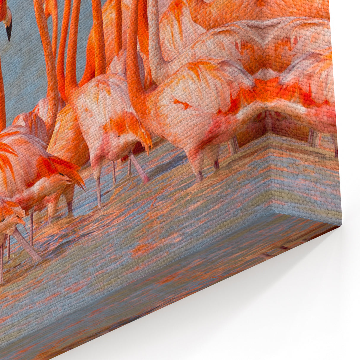 Vibrant Flamingos in Yucatan Lagoon - Mexico Yucatan Wall Art Print