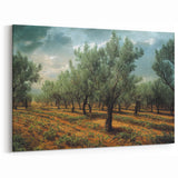 Scenic Albania Art - Olive Grove Photography Canvas Decor