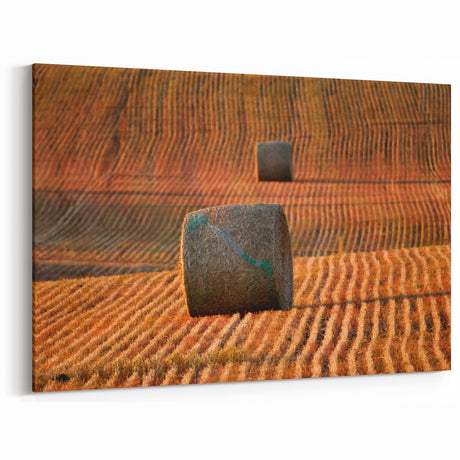 Golden Prairie Fields – Scenic Saskatchewan Wall Art, Landscape Prints