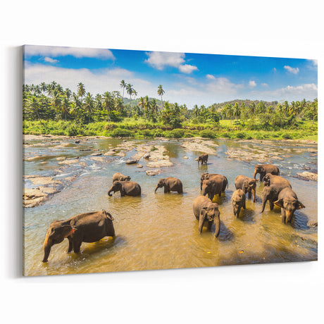 Sri Lanka Landscape Art - Elephants Bathing in River Scenic Canvas Print