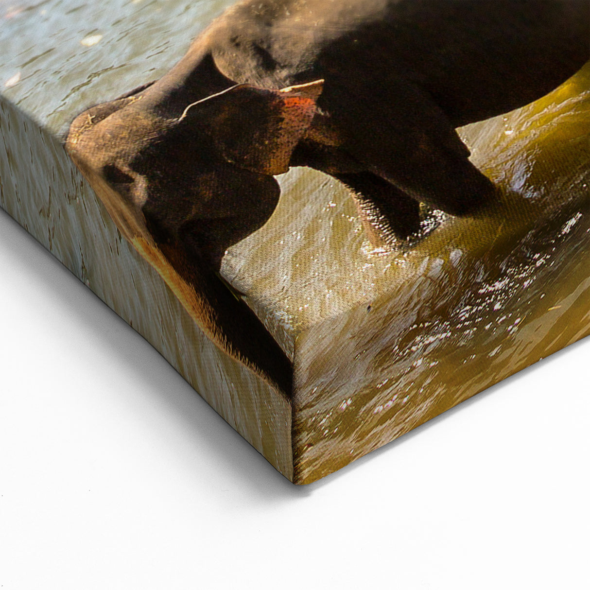 Sri Lanka Landscape Art - Elephants Bathing in River Scenic Canvas Print