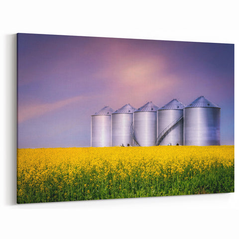 Silos and Canola Fields – Scenic Saskatchewan Agricultural Wall Art
