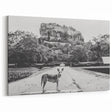 Black and White Sri Lanka Art - Dog and Sigiriya Rock Canvas Print