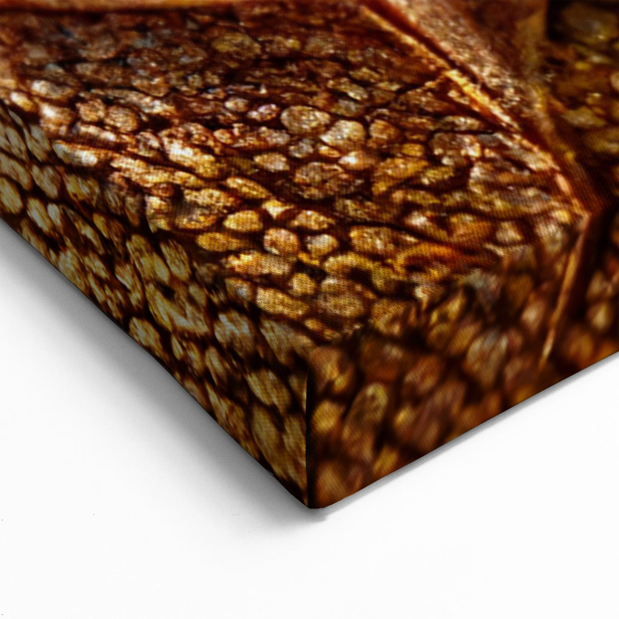 Autumn Leaf Wall Art: Rustic Brown Close-Up Botanical Leaf Prints