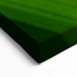 Vibrant Dew-Covered Green Leaf Wall Art: Botanical Canvas Prints