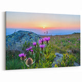 Bulgarian Landscape Art – Wildflowers in the Rila Mountains at Sunrise