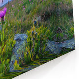 Bulgarian Landscape Art – Wildflowers in the Rila Mountains at Sunrise