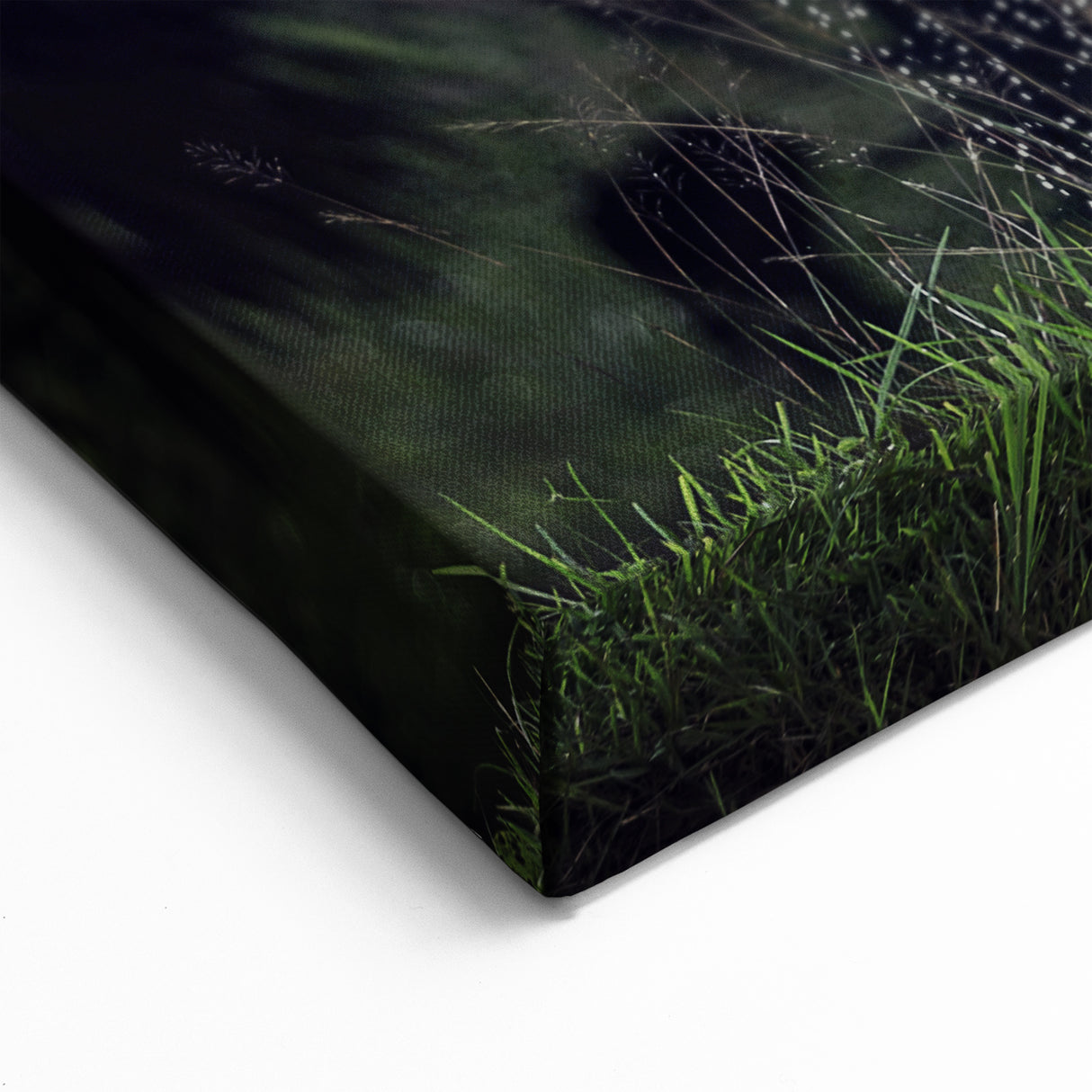 Thai Farmer Art - Traditional Rice Planting Canvas Print