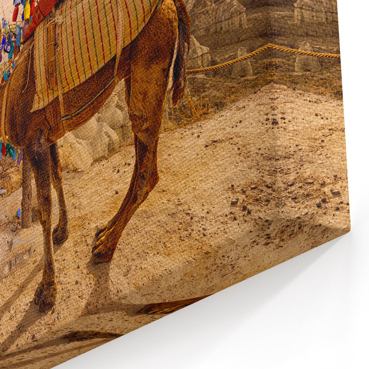 Turkish Camel and Nazar Beads Canvas - Cultural Wall Art