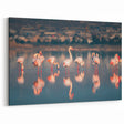 Larnaca Framed Prints - Scenic Cyprus Prints Flamingos at Sunset