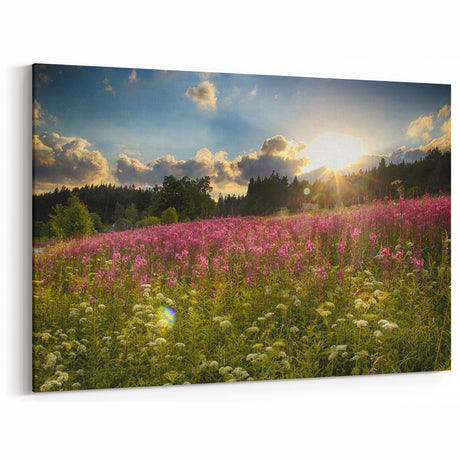 Scenic Czech Landscapes – Czech Republic Wall Art of Sunlit Flower Field