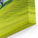 Scenic Czech Landscapes - Solitary Tree on Rolling Green Hills