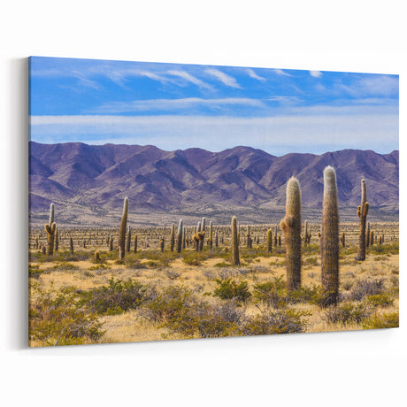 Argentine Desert Cactus Art - Vast Landscape Print