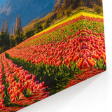 Argentine Nature Photography - Tulips and Snow-Capped Peaks