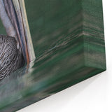 Caribbean Pelican Print - Virgin Islands Wildlife Art