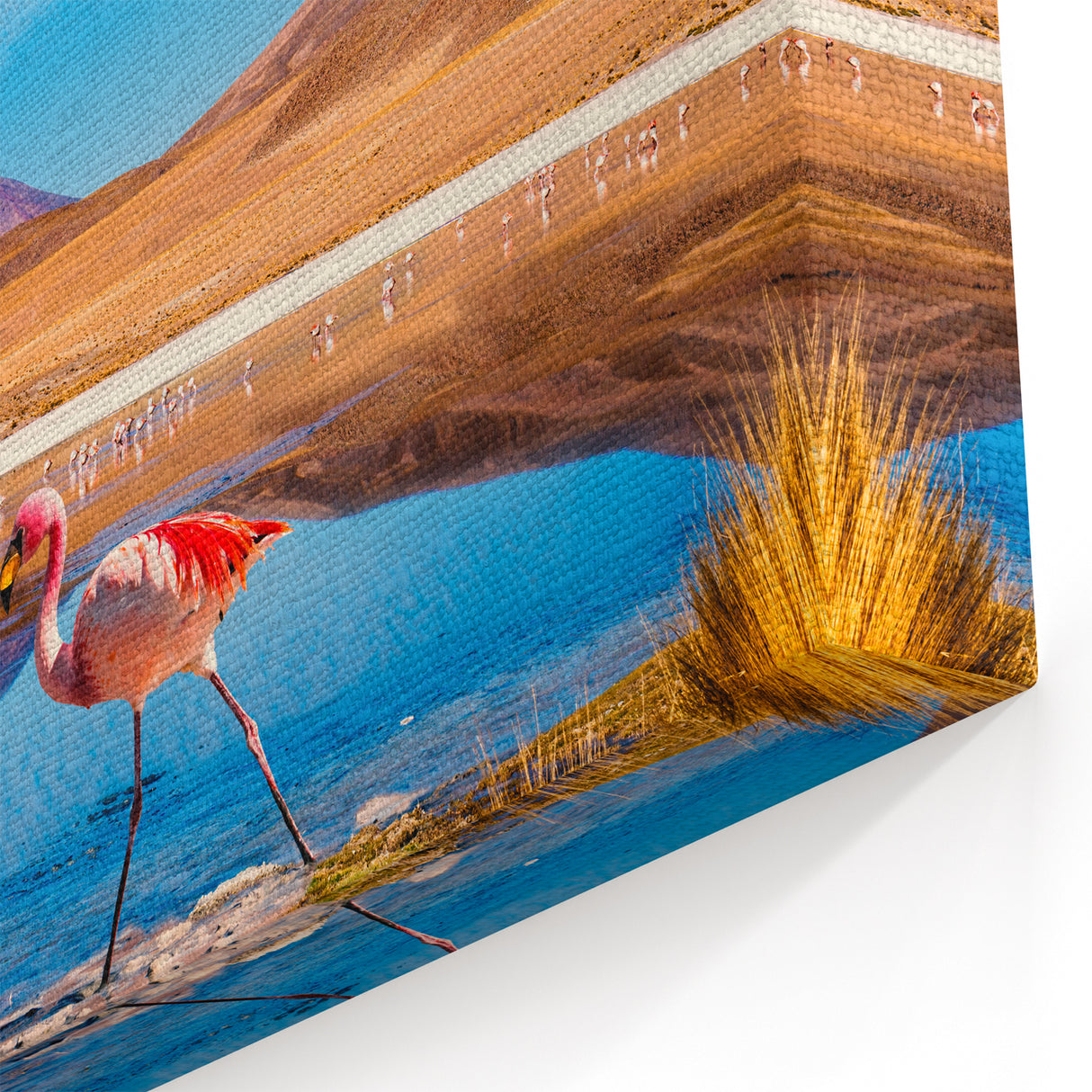 Flamingo Reflection - Bolivian Scenic Landscape Art