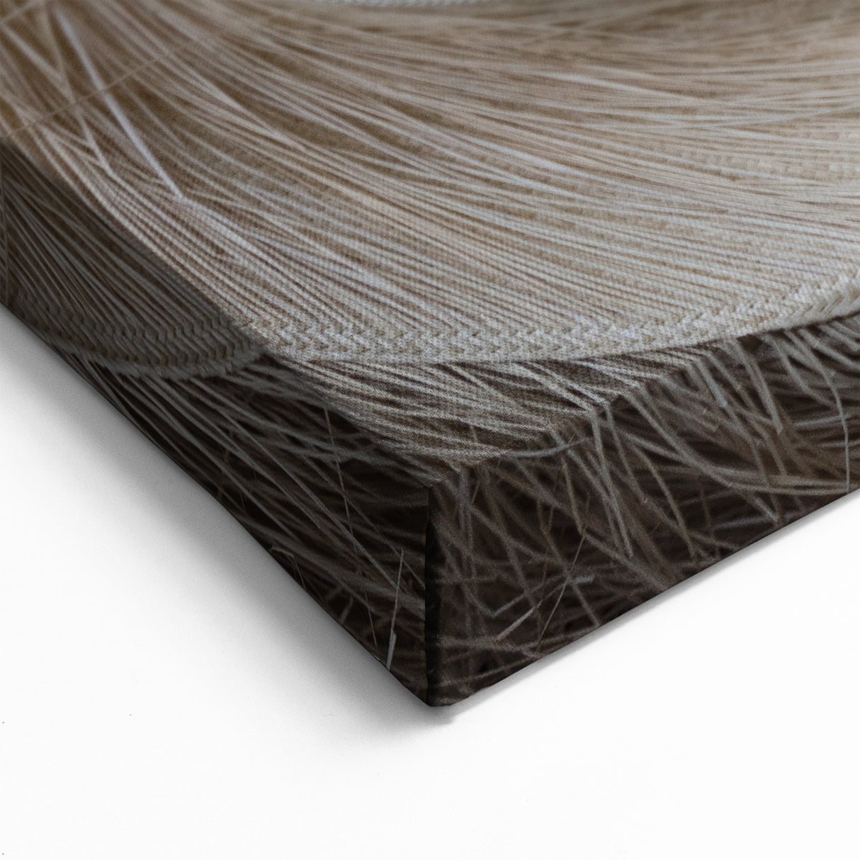 Panama Artisan Hats - Panama Nature Wall Art