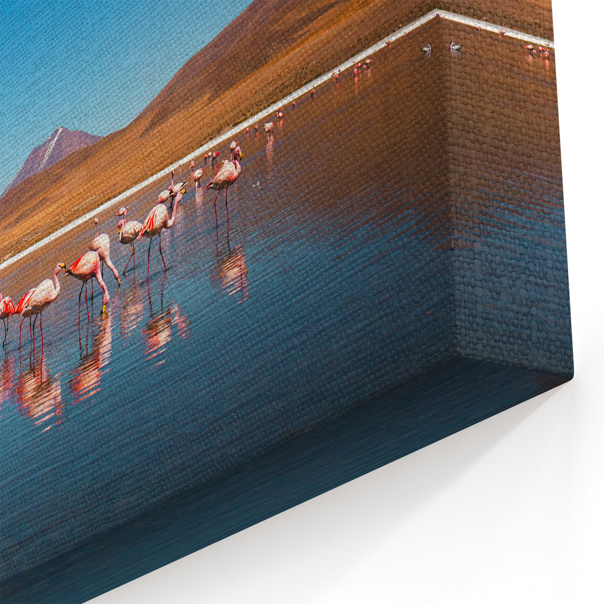 Flamingo Gathering in Bolivia - Nature Wall Art