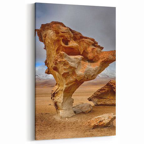 Bolivia Photography Decor - Unique Rock Formation in Bolivia’s Desert