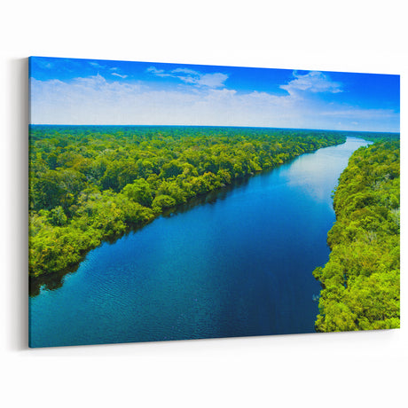 Amazon Rainforest Art - Vibrant Brazil Wall Art & Brazilian Landscape Prints