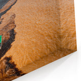 Amazon Rainforest Art - Unique Meeting of Waters Brazil Nature Print