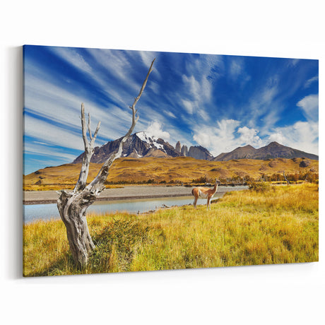 Chile Landscape Prints - Patagonia Scenery South America Wall Decor
