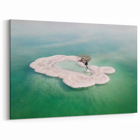 Dead Sea Photography - Israel Seascape Art with Unique Salt Formations