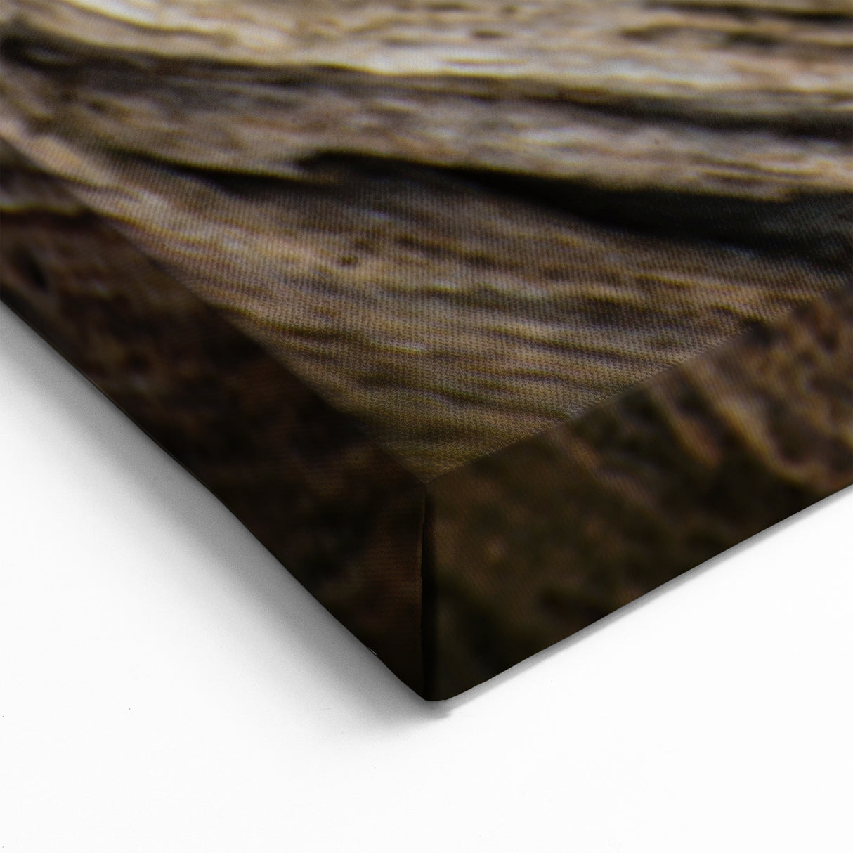 Natural Elements Wall Art Nature Closeups Canvas Print - Aged Wood Texture