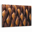 Natural Elements Wall Art: Nature Closeups Canvas Print - Pine Cone Detail