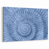 Natural Elements Wall Art: Nature Closeups Canvas Print - Blue Fossil Spiral