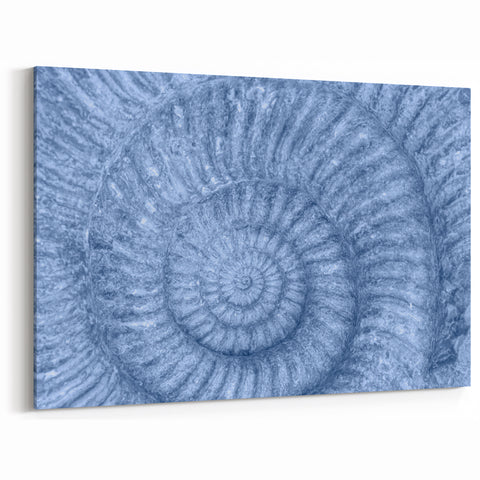 Natural Elements Wall Art: Nature Closeups Canvas Print - Blue Fossil Spiral