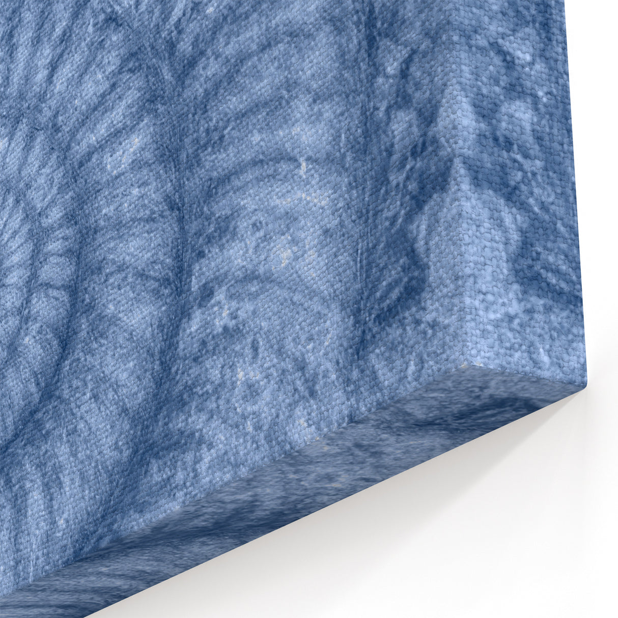Natural Elements Wall Art: Nature Closeups Canvas Print - Blue Fossil Spiral