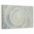 Natural Elements Wall Art - Shell Closeup on Stretched Canvas & Framed Print