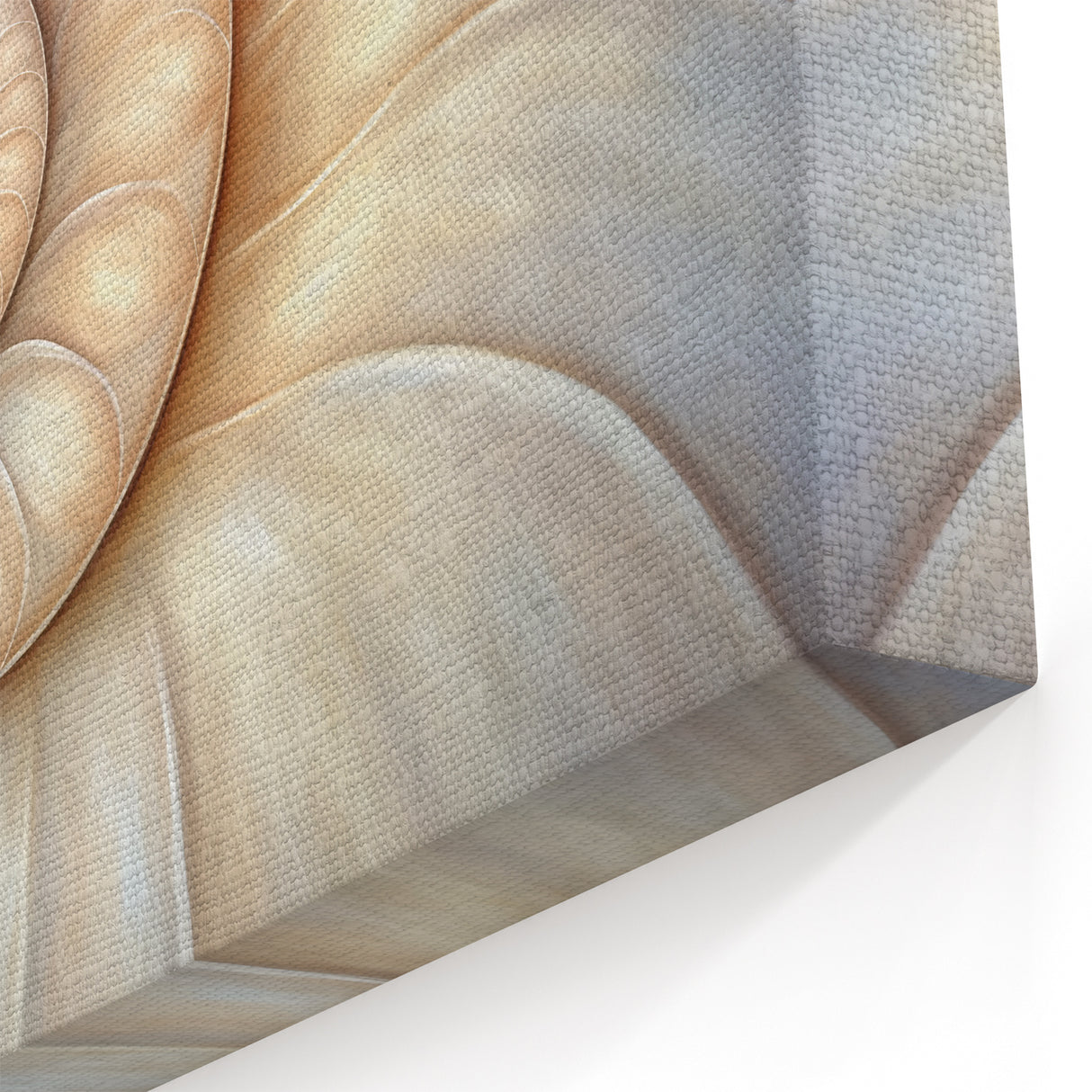 Natural Elements Wall Art | Beige Spiral Shell Close-Up Canvas Print