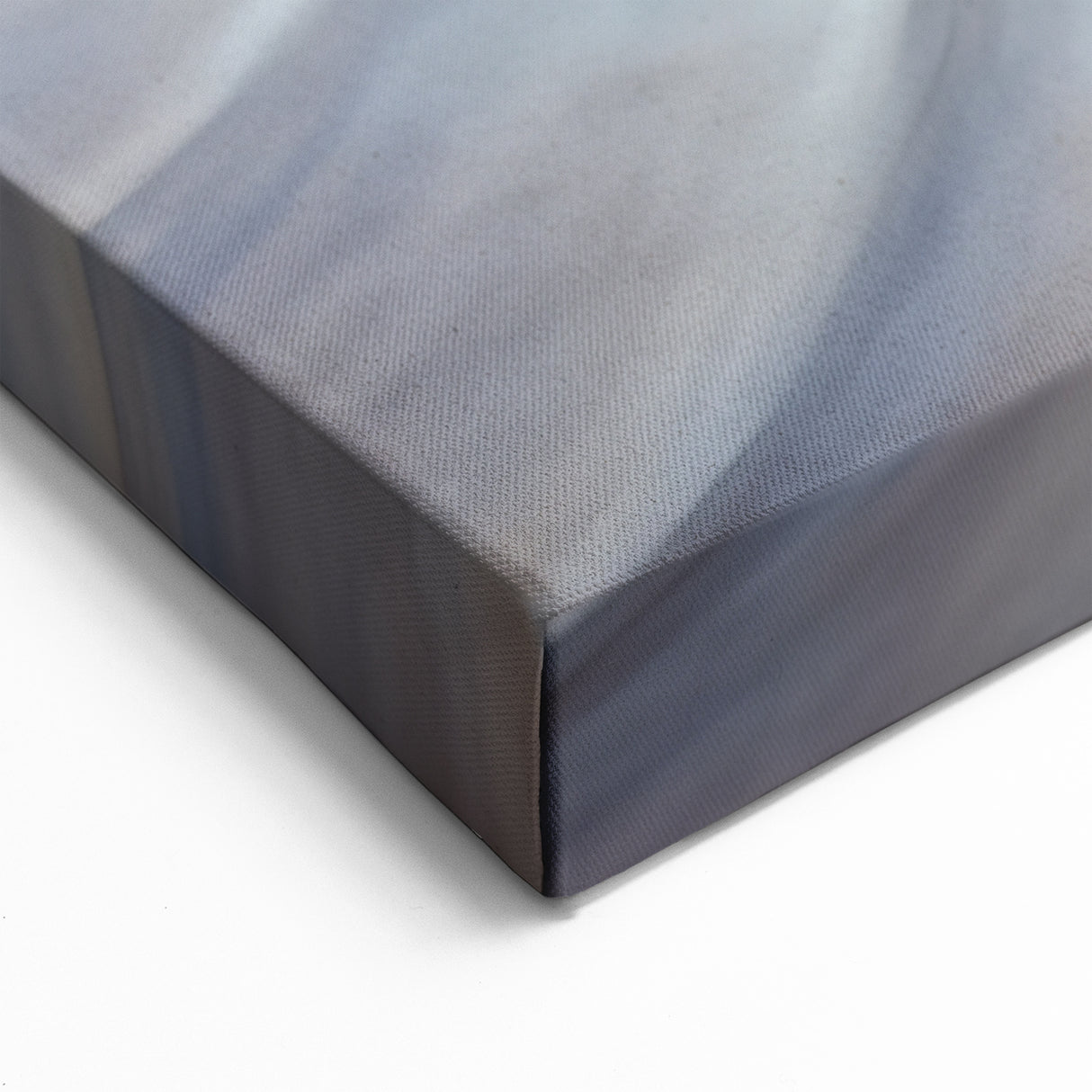 Natural Elements Wall Art | Beige Spiral Shell Close-Up Canvas Print